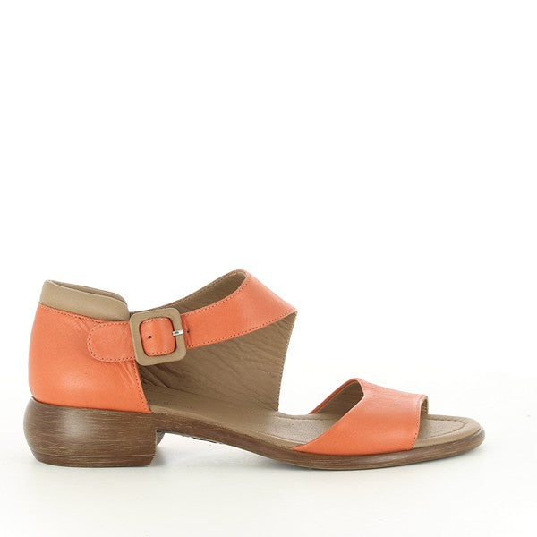 Marco Dalessi MIKI ORANGE-TAN-MULTI