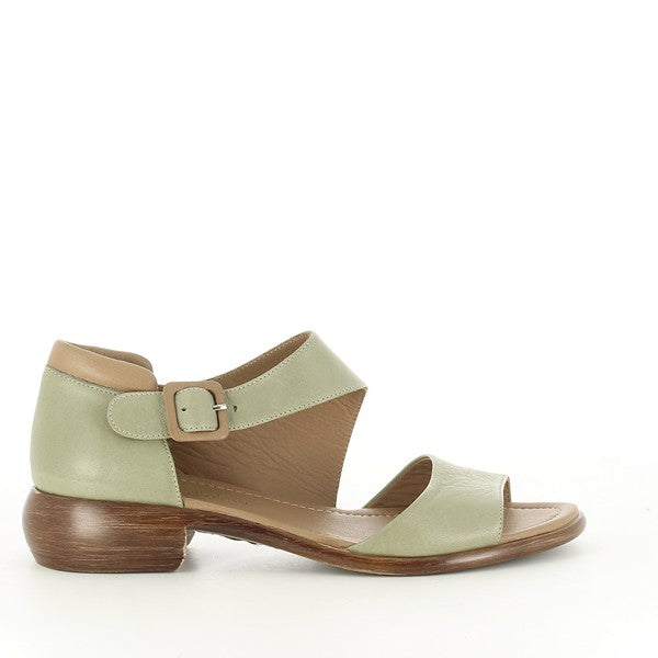 Marco Dalessi MIKI KAKI-MULTI