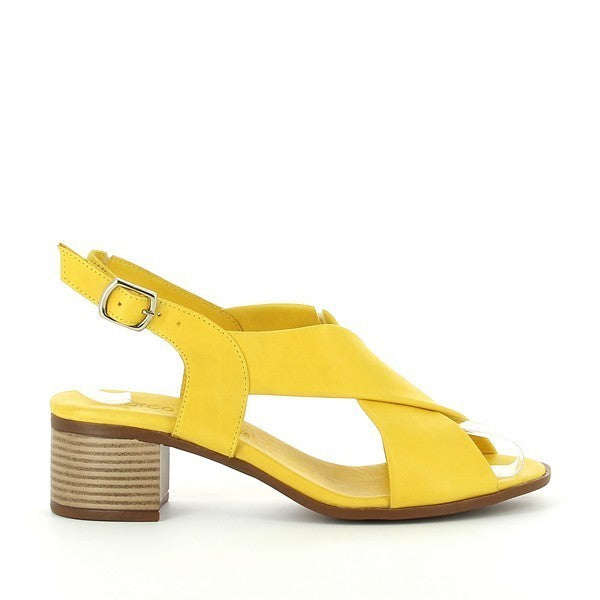 Marco Dalessi NEAP YELLOW
