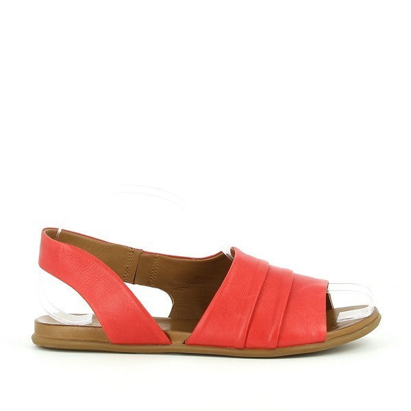 Marco Dalessi NOVA RED