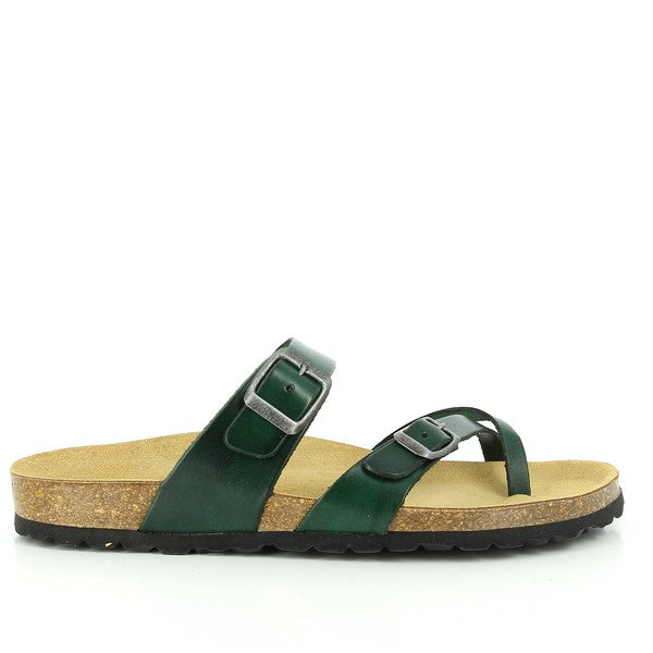 Plakton 101032 GREEN