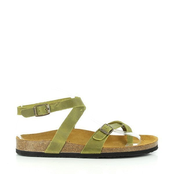 Plakton 101204 KHAKI