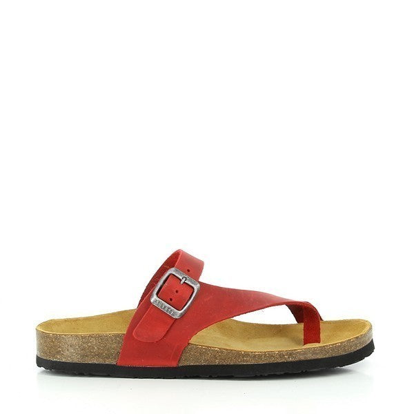 Plakton 105446 ROJO