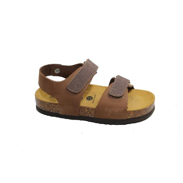Plakton 125093 CASTAGNA-MARRON