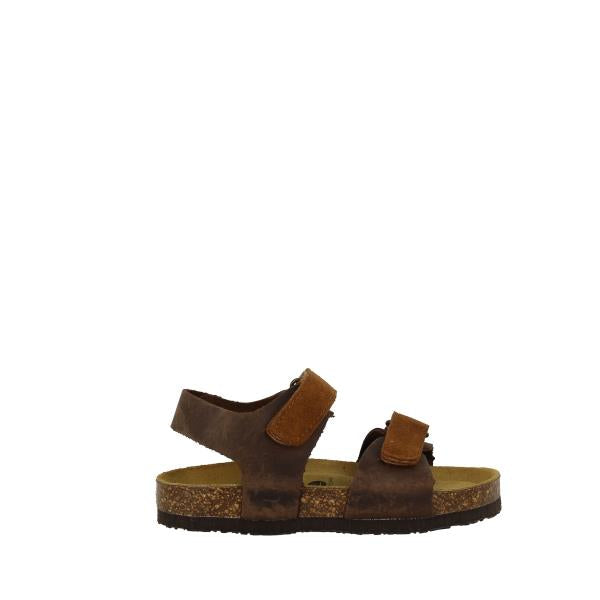 Plakton 125093 BROWN-TAN