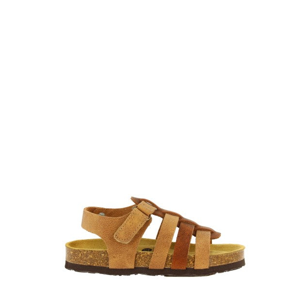 Plakton 125381 BEIGE-ROBLE