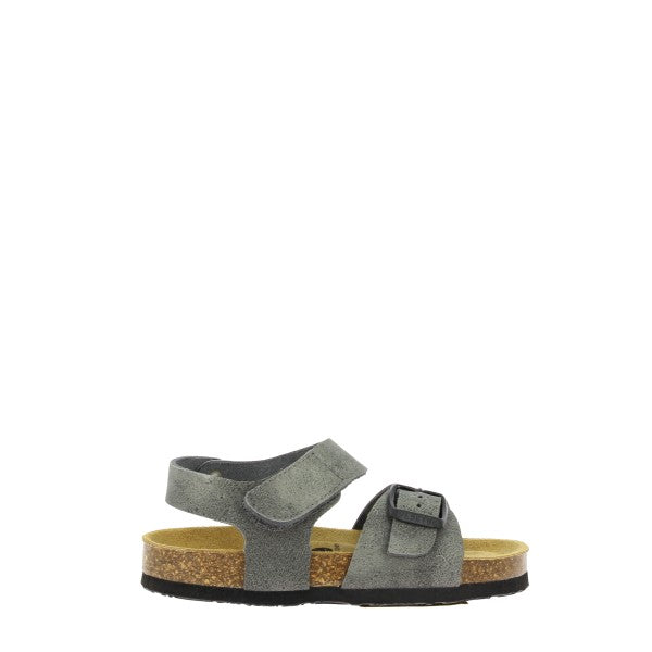 Plakton 125659 GRIS-11