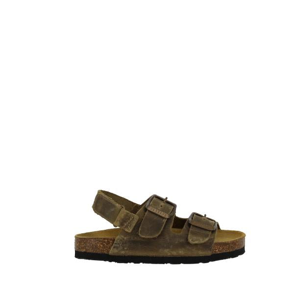 Plakton 126095 KAKI-731