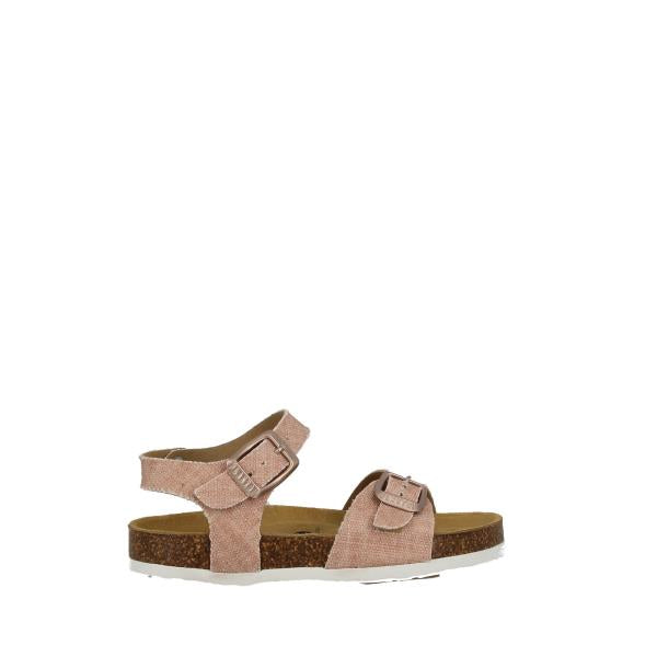 Plakton 131407 CORAL