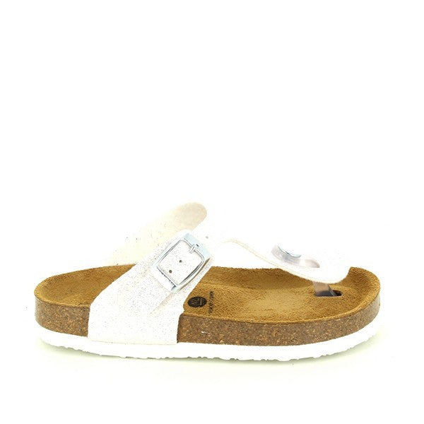 Plakton 131671 GOLD-MULTI
