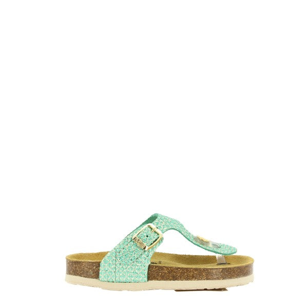 Plakton 131671 TURQUESA