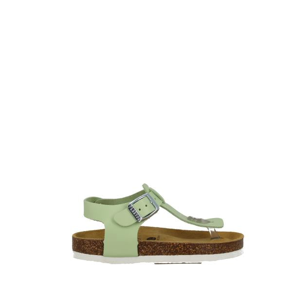 Plakton 131676 GREEN