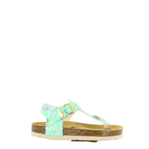 Plakton 131676 VERDE-MULTI