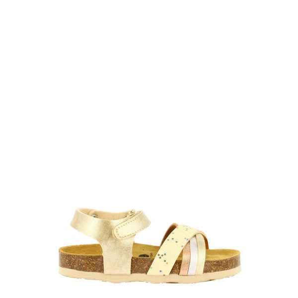 Plakton 135284 ORO-BEIGE