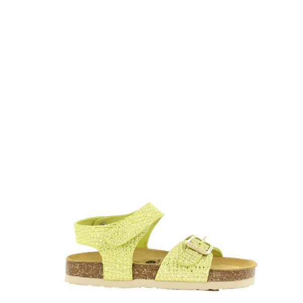 Plakton 135663 VERDE 08