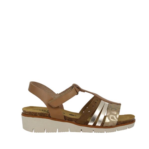 Plakton 156217 TAUPE-ORO-MULTI