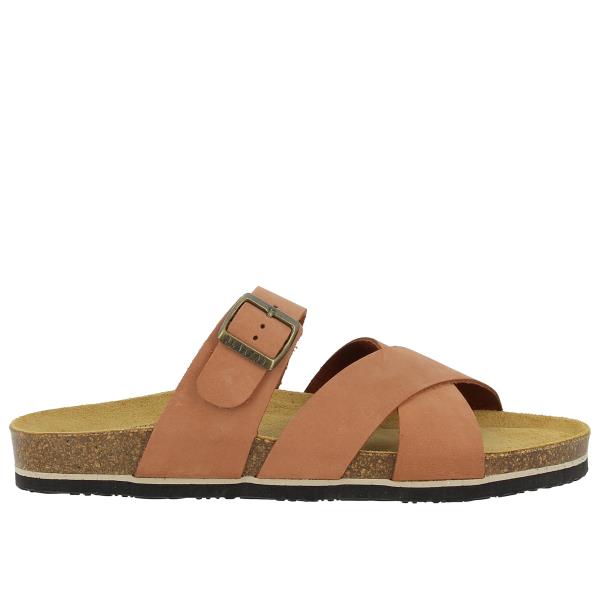 Plakton 170021 ARAGOSTA