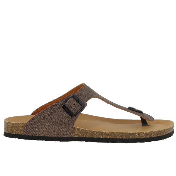 Plakton 175081 MARRON