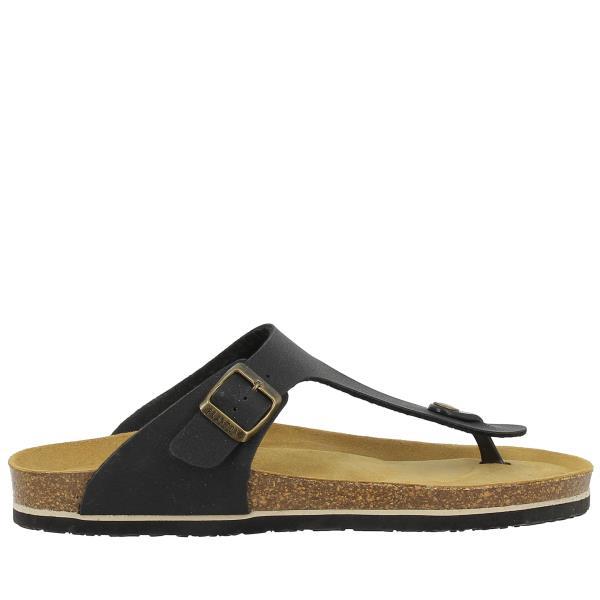 Plakton 175081 MARRON-448