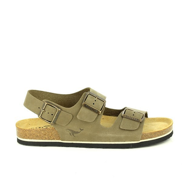 Plakton 175113 MARRON