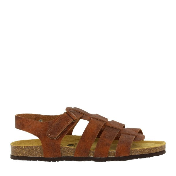 Plakton 175381 MARRON-MULTI