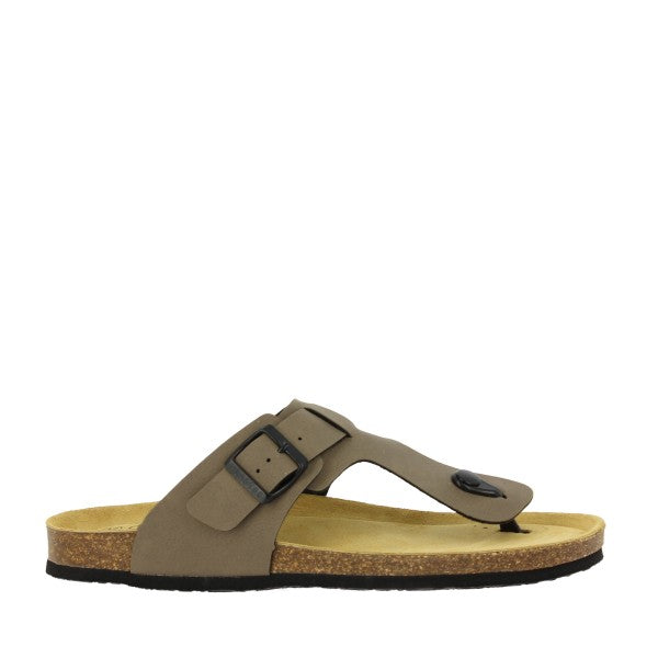 Plakton 175991 TAUPE 3
