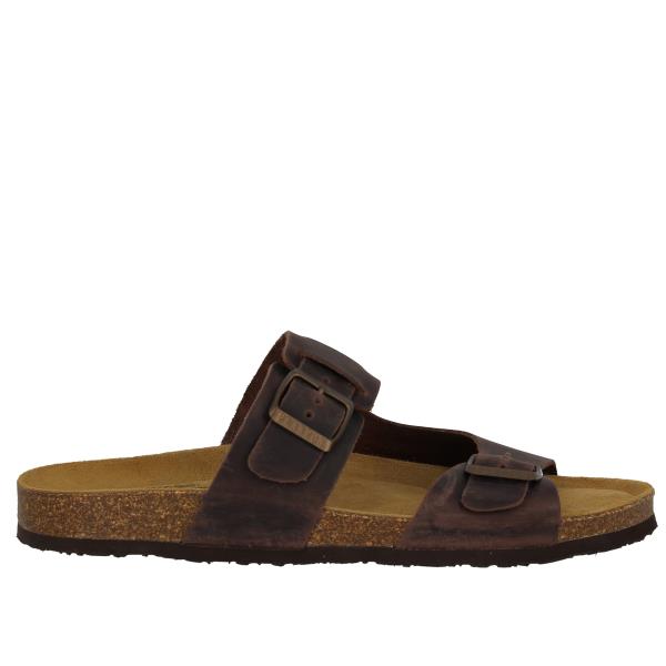Plakton 176135 MARRONE