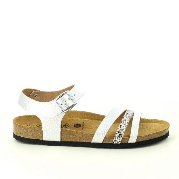 Plakton 181007 FUXIA-MULTI