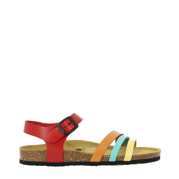 Plakton 181007 ROJO-ORANGE-MUILTI