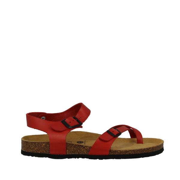 Plakton 181016 ROJO