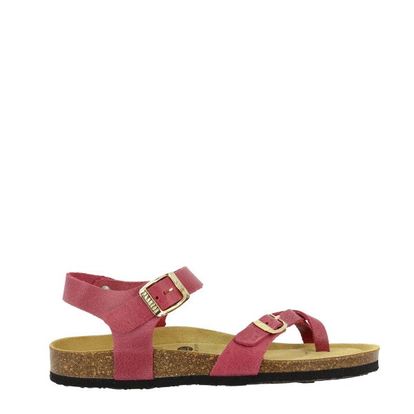 Plakton 181016 FUXIA