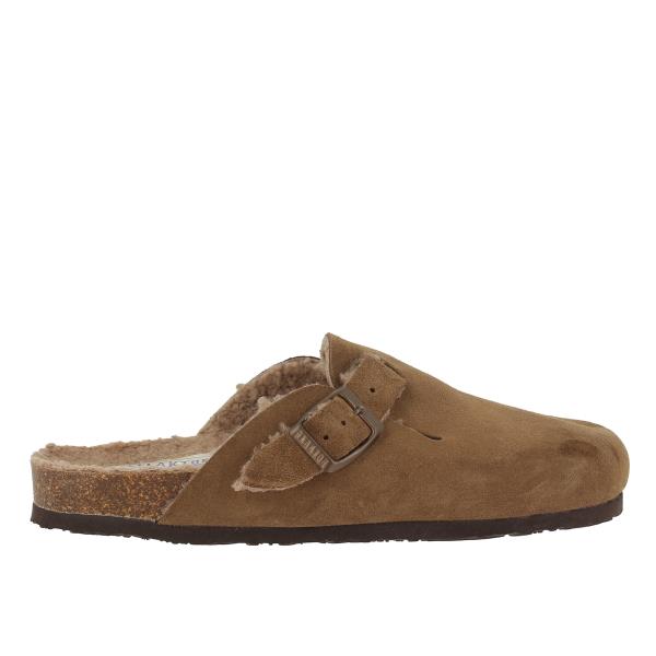 Plakton 181539 CESPED 613
