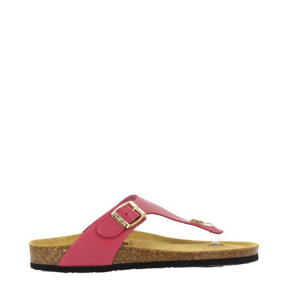 Plakton 181671 FUXIA