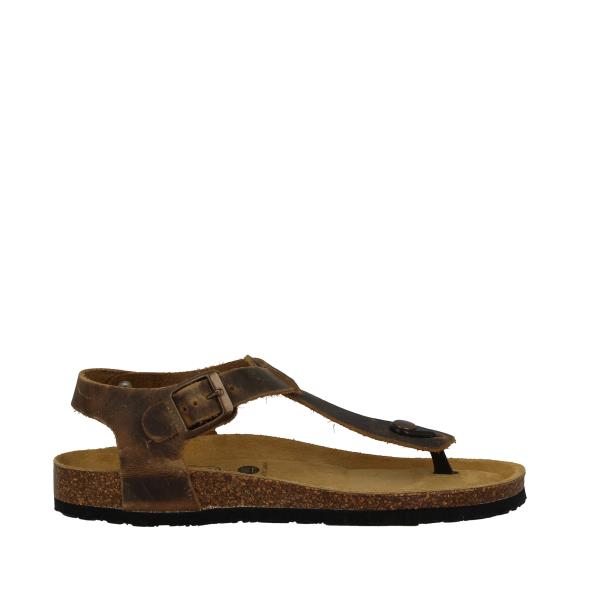 Plakton 181676 BEIGE-142