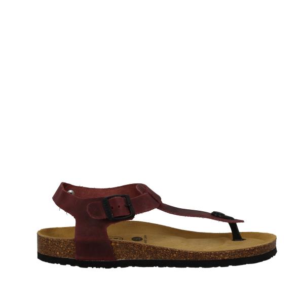 Plakton 181676 BORDO