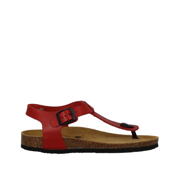 Plakton 181676 ROJO