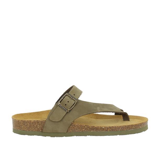 Plakton 185446 KAKI