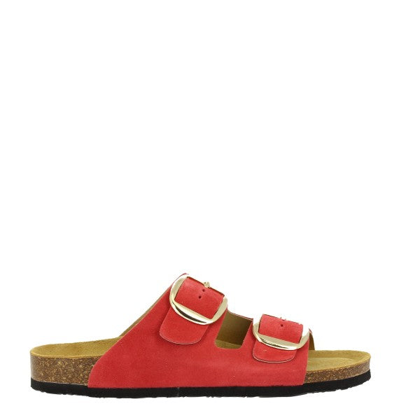 Plakton 185983 ROJO