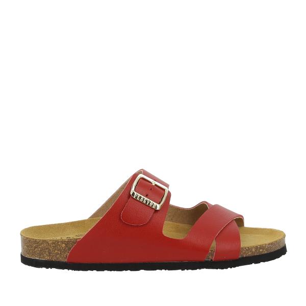 Plakton 185984 ROJO