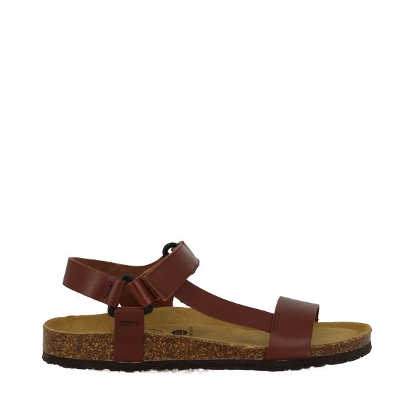 Plakton 186127 CORCHO