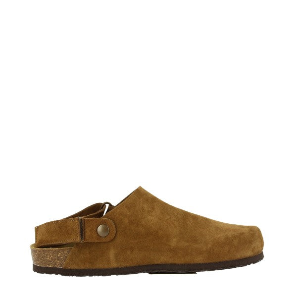 Plakton 186306 ROBLE 301