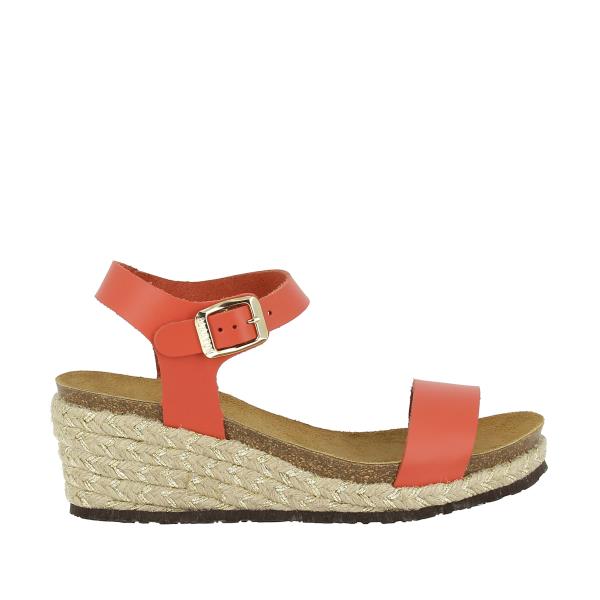 Plakton 233023 CORAL