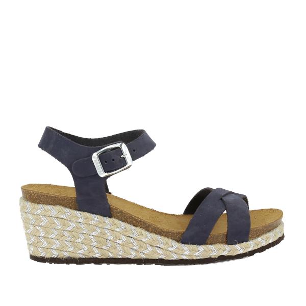 Plakton 235087 BLU