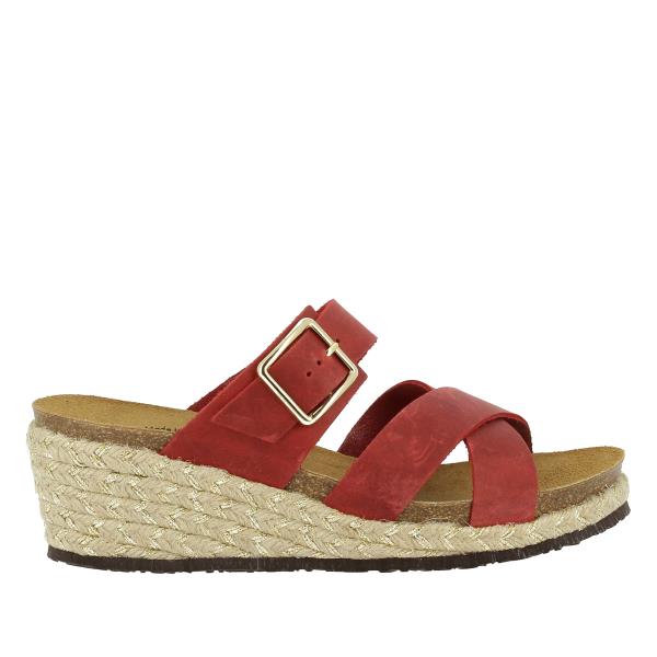 Plakton 235109 ROJO