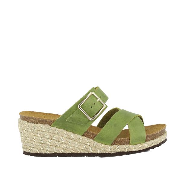 Plakton 235109 PISTACHO-26