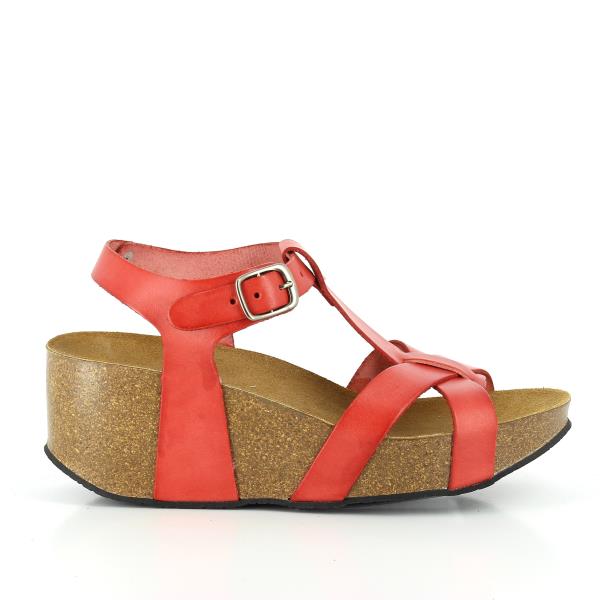 Plakton 273015 CARMIN