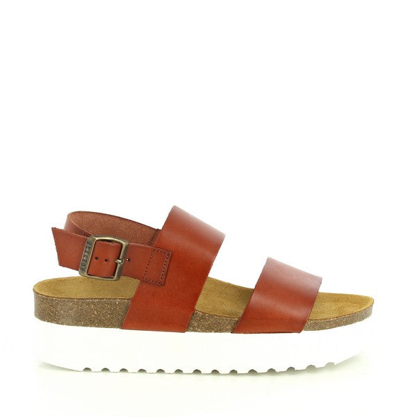 Plakton 285835 CUERO