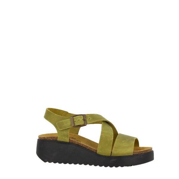 Plakton 336442 PISTACHO-716