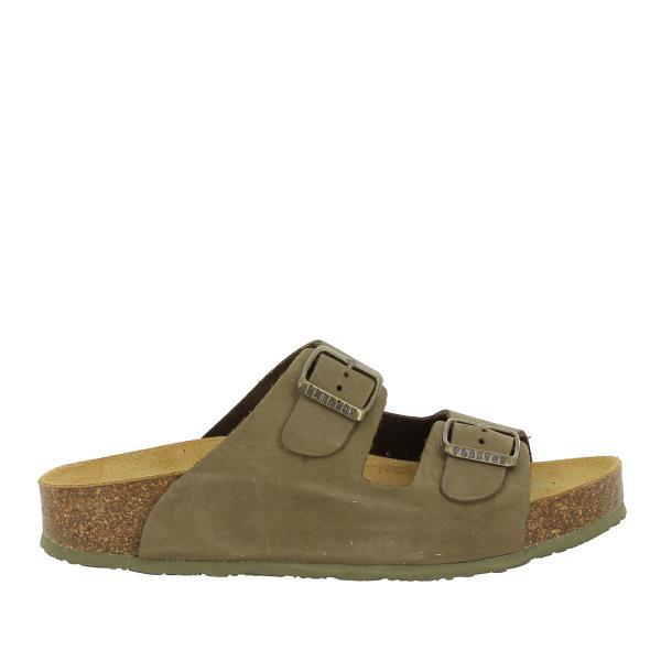 Plakton 340010 KAKI