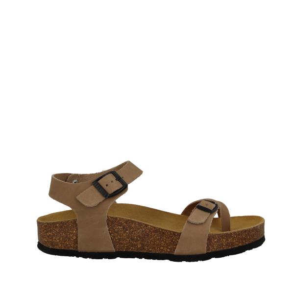 Plakton 341016 TAUPE
